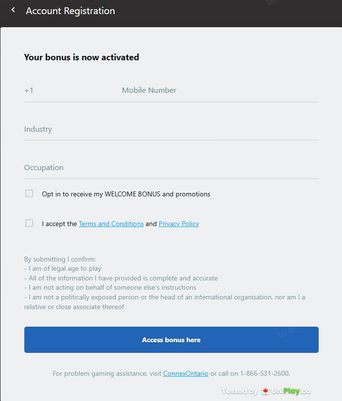 Luxury Casino — registration step 5