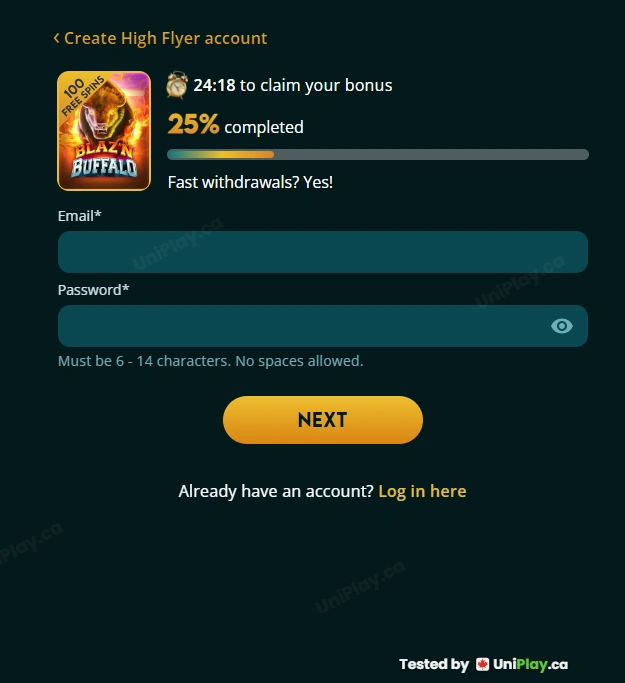 High Flyer Casino — registration step 2