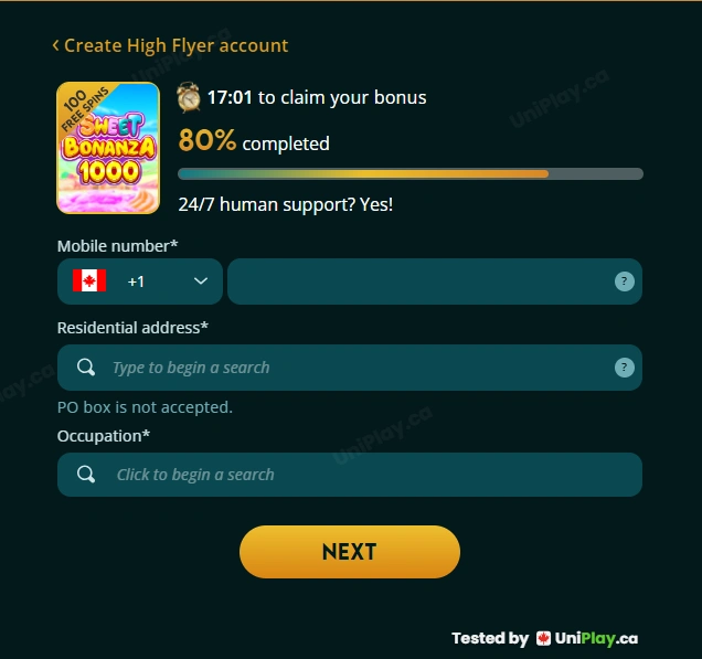 High Flyer Casino — registration step 4