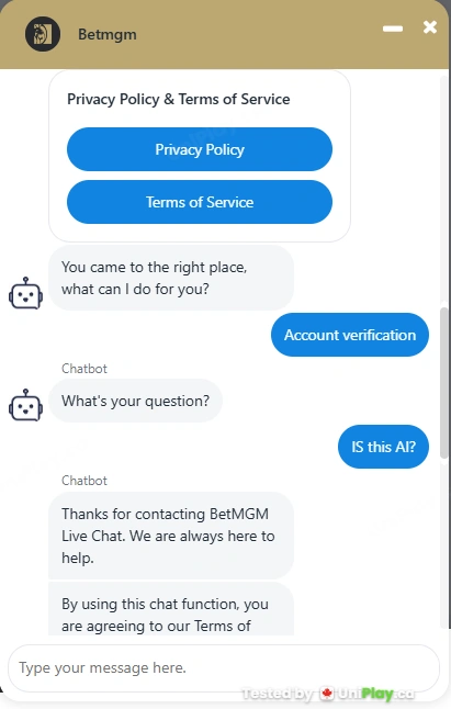 BetMGM Casino — Live chat with support screenshot