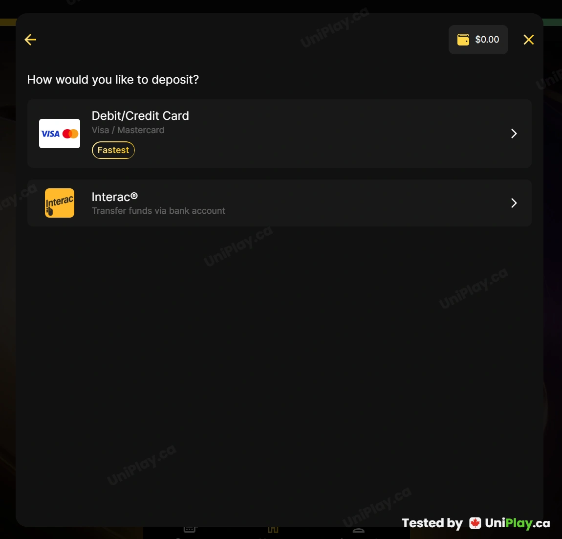 Betty Casino — Cashier — payment methods screenshot