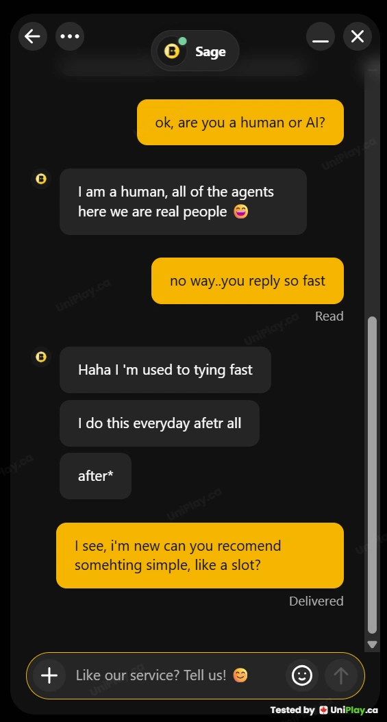 Betty Casino — Live chat with support screenshot